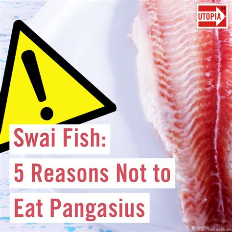 pangash fish|Why You Really Shouldn't Eat Pangasius .